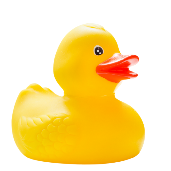 Bild von Gummiente